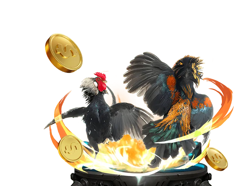 Hướng Dẫn Đá Gà AW8